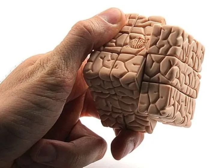 Imagem de uma mão segurando um cbo mágico cerebral